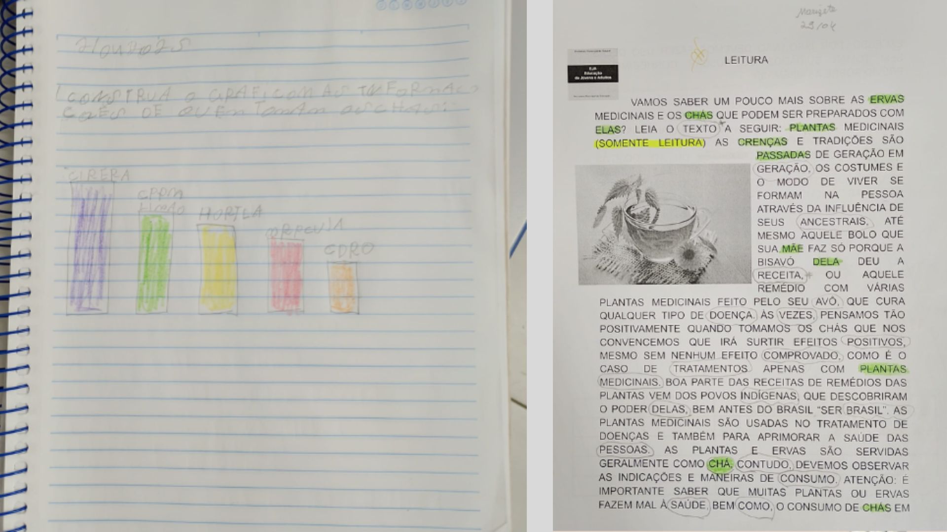 Imagem mostra caderno com gráfico e texto sobre os chás